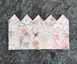 Kronepannebånd str 52/54