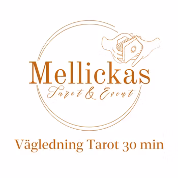 Vägledning 30 minuter via Zoom