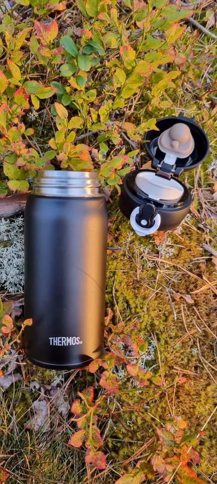 Thermos Mobile Pro 350ml
