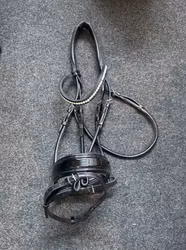 Träns Schockemöhle svart, full