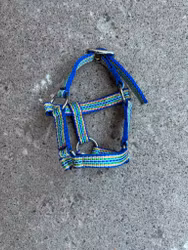 Grimma, miniföl/käpphäst