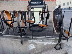 Ideal Equestrian körsel, storlek full