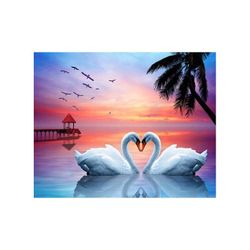 Swan love 40*50