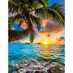 Ocean 40*50