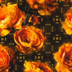 Botein Camellia