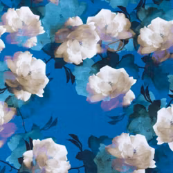 Izar Velvet Rose
