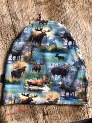 Älg