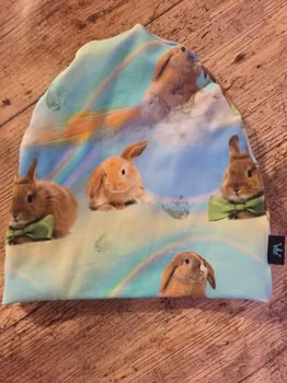 Kanin regnbåge
