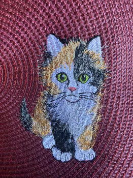 Bords tablett med katt