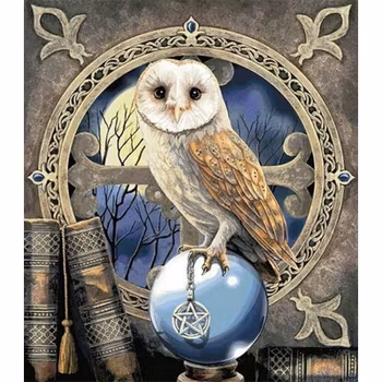 Owl  40*50
