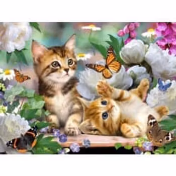 Cute cats 40*50,
