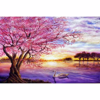 Cherry blossom sunset 40*50,
