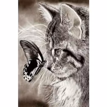 Cat and butterfly 40*50,