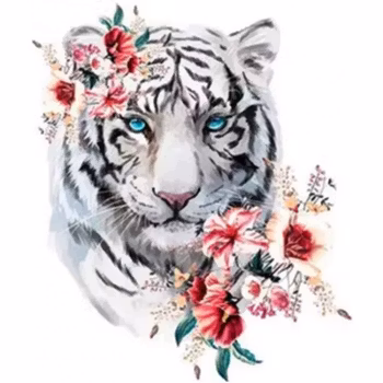 Tiger flower  30*40