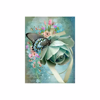 Butterfly On Flower 30*40