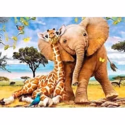 African elephant 60*50