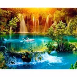 Lake and swan  40*50,