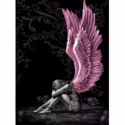 Angel 40*50,