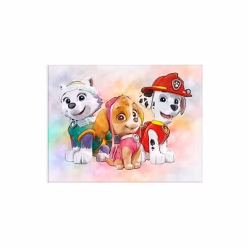 Paw patrol 40*50