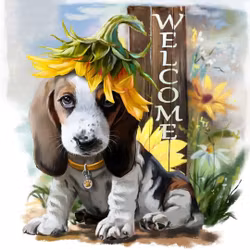 Welcome 40*40