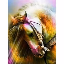 Horses 40*50
