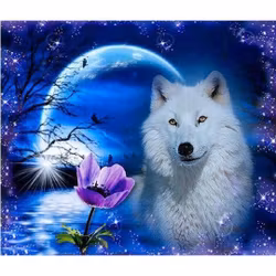 Wolf 40*50