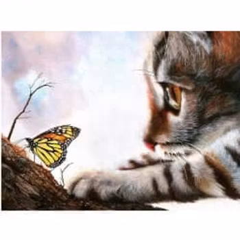 Cat catching butterfly 40*50