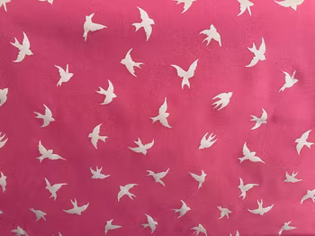 Softshell ceris med fåglar