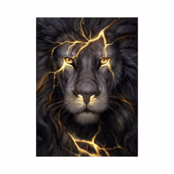 Lion 40*50