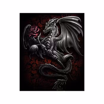 Dragon 30*40