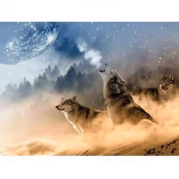 Varg i månsken 40*50