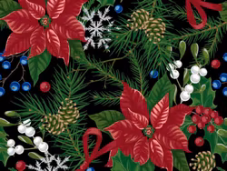 Julstjärna