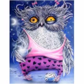 Owl tired 30*40