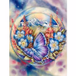 Butterfly 40*50