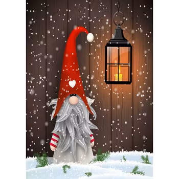 Santa Gnome 30*40