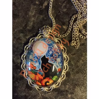 Cat look in the moon