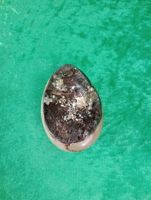 Septarian Drakstensägg