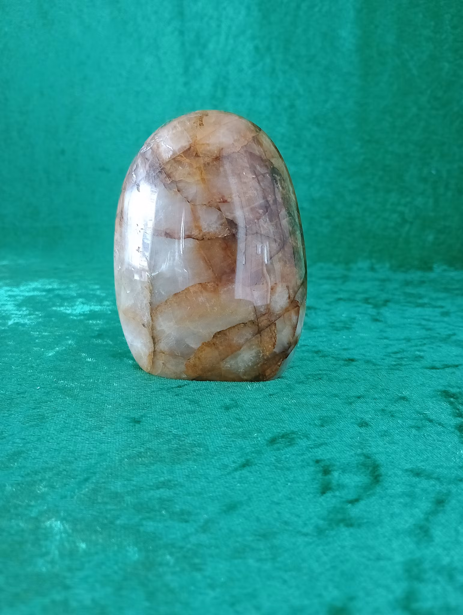 Stående Golden Healer fri form
