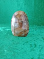 Stående Golden Healer fri form