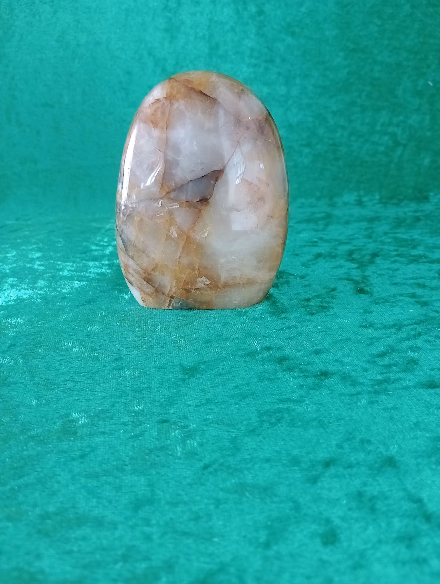 Stående Golden Healer fri form