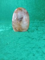 Stående Golden Healer fri form