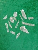 Lemurian Roots (Code of Freedom)