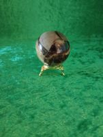 Septarian Draksten Klot