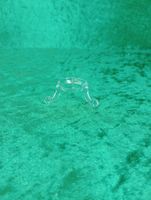 Transparent klotställ