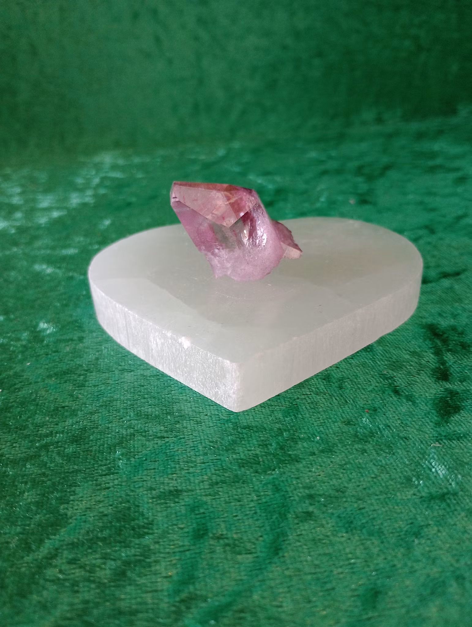 Aqua Aura Rosa Kluster B
