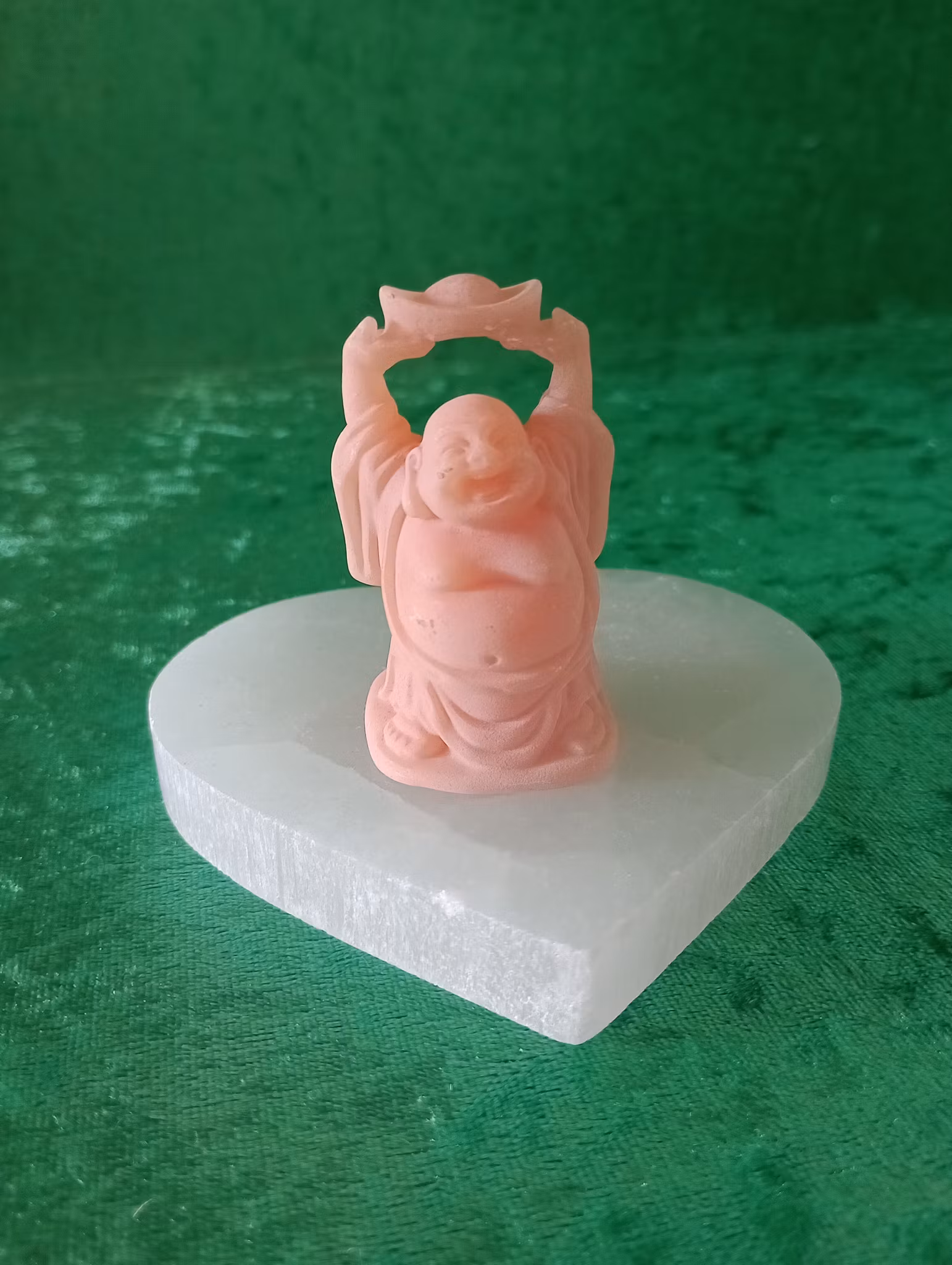 Rosa Buddha F
