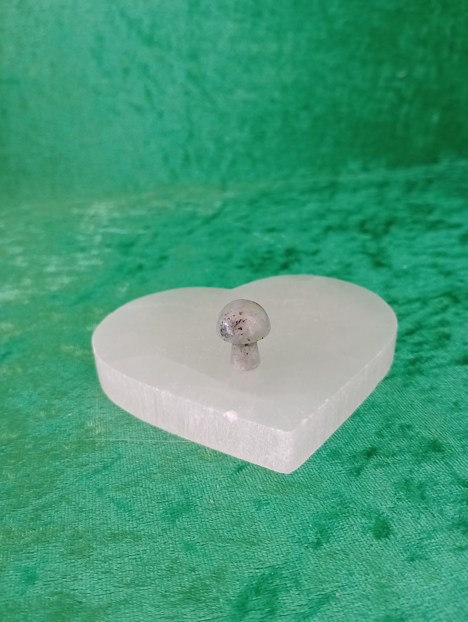 Larvikit mini Svamp