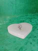 Larvikit mini Svamp