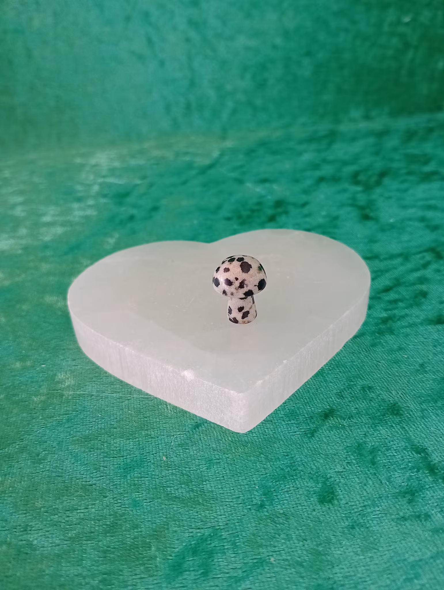 Vit Månsten Mini Svamp
