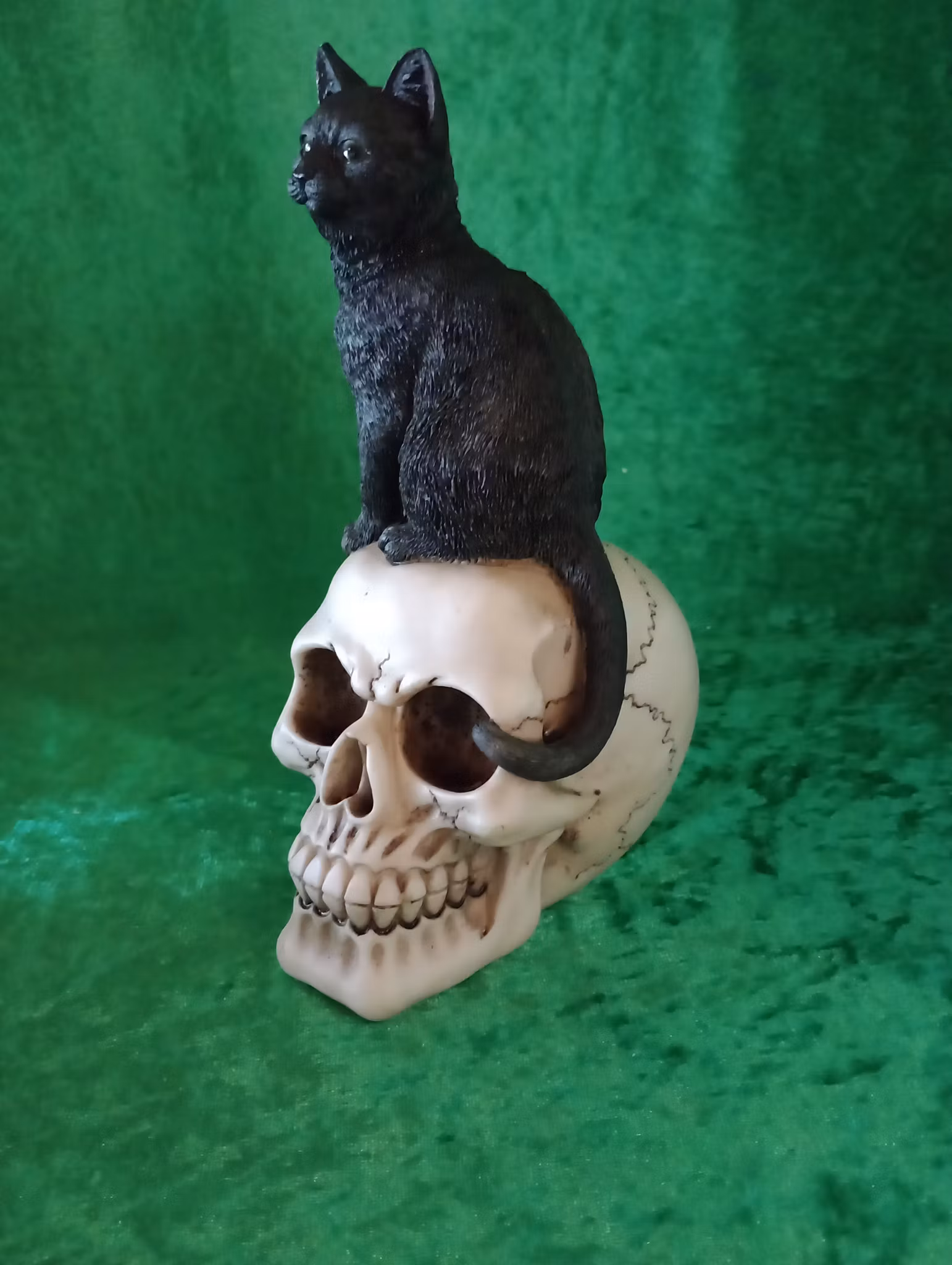 Dödskalle med katt